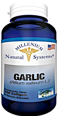 Garlic – Natural Systems